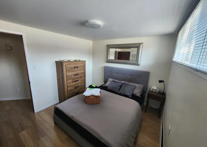 Private Room With Shared Space In A Basement